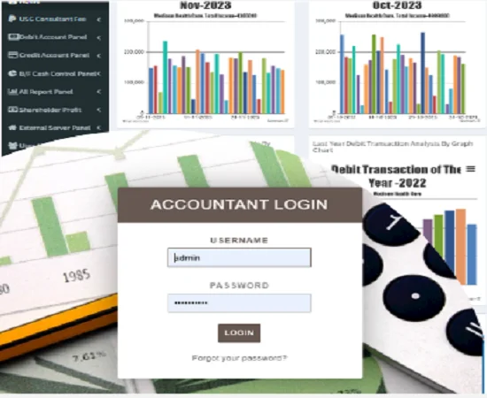 Basic Accounting Software